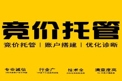 短视频信息流营销实战：小红书的成长之路
